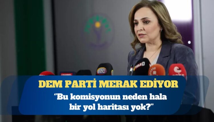 DEM Parti Sözcüsü Ayşegül Doğan: Bu komisyonun neden hala bir yol haritası yok?