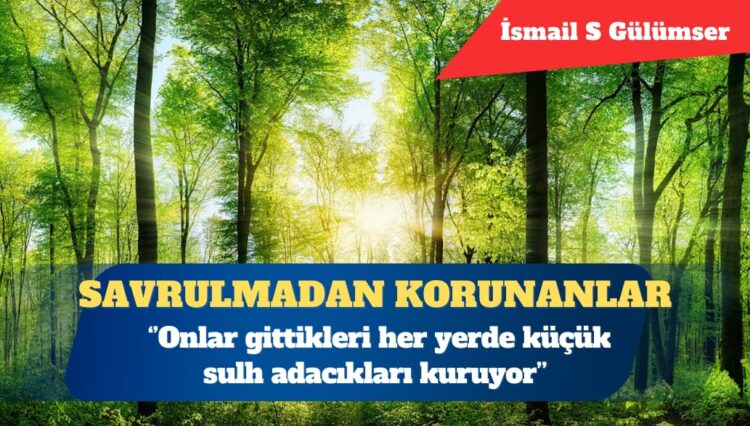 Rüzgarın önündeki yapraklar gibi savrulmadan korunanlar