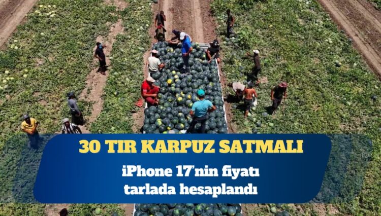 iPhone 17’nin fiyatı tarlada hesaplandı: 30 tır karpuz