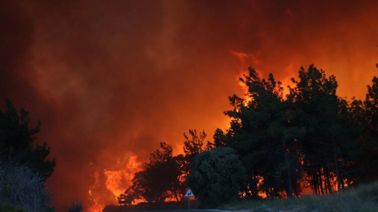 Orman yangınları: 4 milyon ton karbondioksit salındı