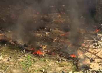 ABD’deki patlamada 16 ölü: Hayatta kalan yok 