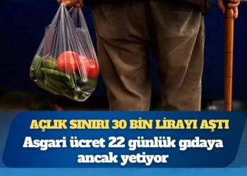 Açlık sınırı 30 bin lirayı aştı: Asgari ücret 22 günlük gıdaya ancak yetiyor