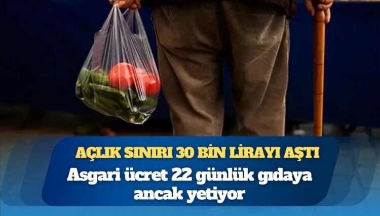 Açlık sınırı 30 bin lirayı aştı: Asgari ücret 22 günlük gıdaya ancak yetiyor