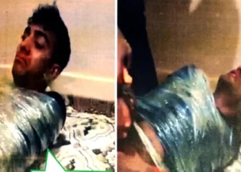 İnsanlık dışı görüntüler: Bu vahşeti yapanlara ceza yağdı