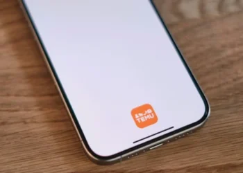 Temu Avrupa’da sekiz çalışanla 120 milyon dolar kar etti