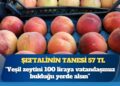 Pazarda pahalılık isyanı: Şeftalinin tanesi 57 TL