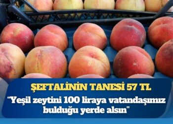 Pazarda pahalılık isyanı: Şeftalinin tanesi 57 TL