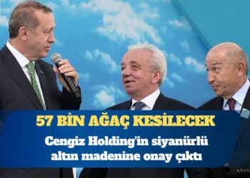 Cengiz Holding’in siyanürlü altın madenine onay çıktı: 57 bin ağaç kesilecek