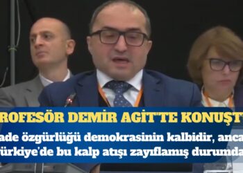 Profesör Hüseyin Demir AGİT’te konuştu: İfade özgürlüğü demokrasinin kalbidir, ancak Türkiye’de bu kalp atışı zayıflamış durumda