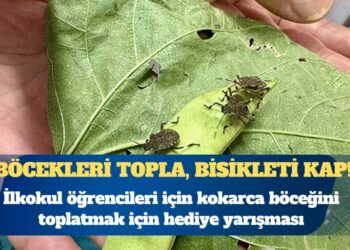 Bakanlık’tan çocuklara skandal kampanya: Böcekleri topla, bisikleti kap!