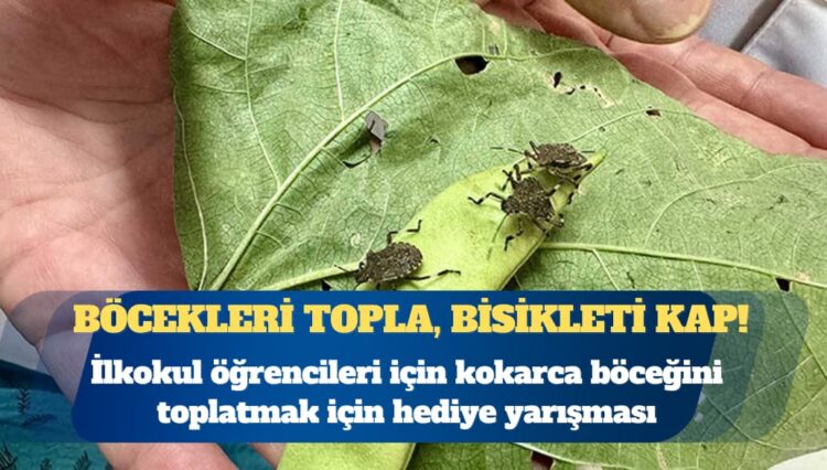 Bakanlık’tan çocuklara skandal kampanya: Böcekleri topla, bisikleti kap!