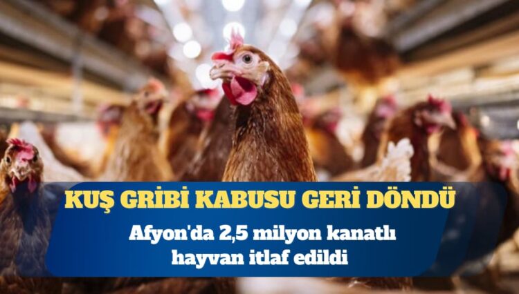 Kuş gribi kabusu geri döndü: Afyon’da 2,5 milyon kanatlı hayvan itlaf edildi