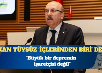 Okan Tüysüz: Büyük bir depremin işaretçisi değil