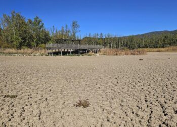 Küresel ısınma Türkiye’yi nasıl değiştirebilir?