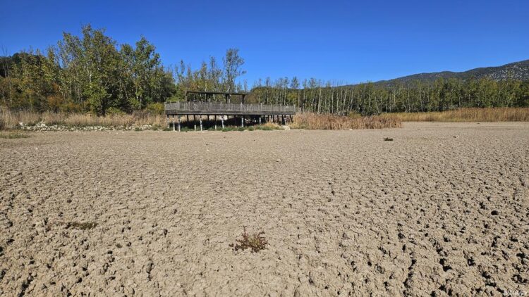 Küresel ısınma Türkiye’yi nasıl değiştirebilir?
