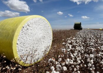 Avrupa’nın moda markaları ne kadar çevreci?