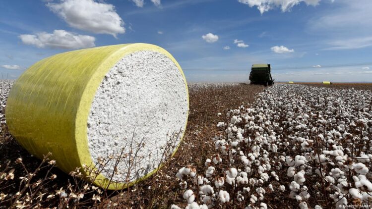 Avrupa’nın moda markaları ne kadar çevreci?