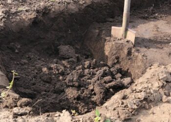 Bir günde 34 milyon TL’si oldu: Bahçeye kazmayı vurdukça külçe külçe altın fışkırdı