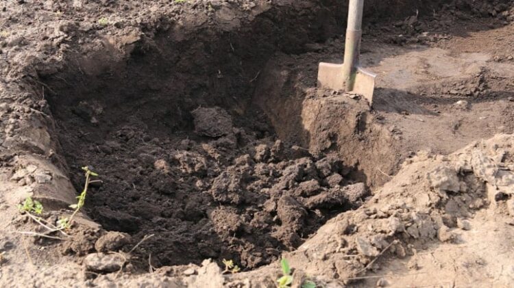 Bir günde 34 milyon TL’si oldu: Bahçeye kazmayı vurdukça külçe külçe altın fışkırdı