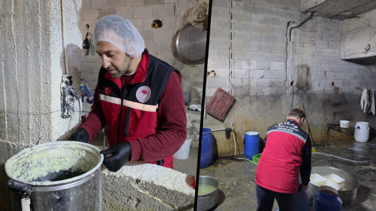 Görüntüler mide bulandırdı: Duvarlar ve kazanlar küf tutmuş; o yoğurt ve peynir imalathanesi kapatıldı