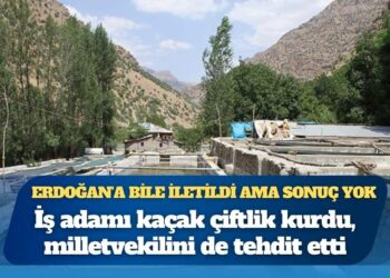 ‘İş insanı kaçak çiftlik kurdu, milletvekilini tehdit etti’ iddiası: Konu Erdoğan’a kadar gitti ancak sonuç alınamadı