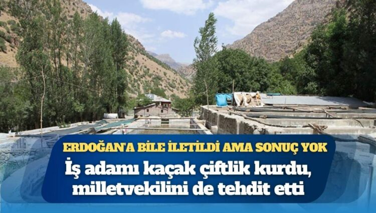 ‘İş insanı kaçak çiftlik kurdu, milletvekilini tehdit etti’ iddiası: Konu Erdoğan’a kadar gitti ancak sonuç alınamadı