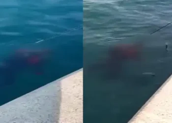 İstanbul Beykoz’da korkunç anlar: Balık tutarken oltaya ceset takıldı
