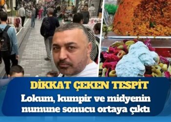 Böcek ailesi soruşturmasında dikkat çeken tespit: Lokum, kumpir ve midyenin numune sonucu ortaya çıktı