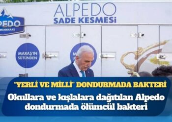 “Yerli ve milli” dondurmada bakteri: Alpedo ürünlerinde ölümcül bulaş tespit edildi