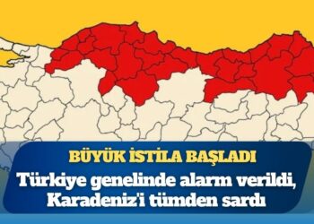 Büyük istila başladı: Türkiye genelinde alarm verildi, Karadeniz’i tümden sardı