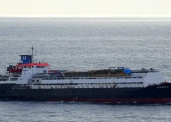 Uruguay’dan gelen yüzlerce sığır Marmara’da tutsak