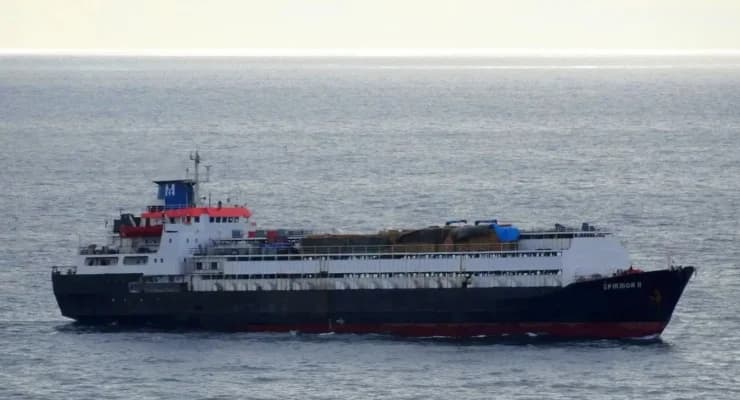 Uruguay’dan gelen yüzlerce sığır Marmara’da tutsak