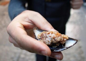 Bursa’da dört genç midye yedikten sonra hastaneye kaldırıldı