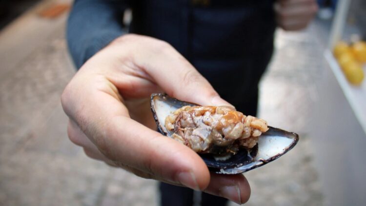 Bursa’da dört genç midye yedikten sonra hastaneye kaldırıldı