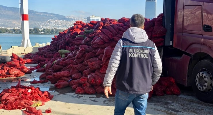 İzmir’de 27 ton kaçak midye bulundu