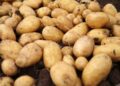 Ekimde, 36 ürünün 22’sinde fiyatlar arttı: Patates zam şampiyonu