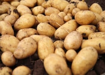 Ekim ayında marketlerin zam şampiyonu belli oldu