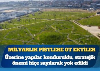 Milyarlık pistlere ot ektiler