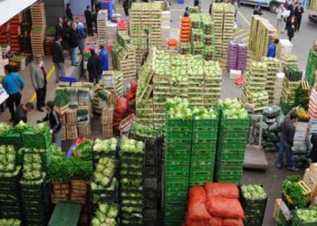 Gıdasız kalma riski kapıda: “Gıda üreticisi kazanamadığı için artık üretmek istemiyor. Bu tempoda gidersek Türkiye’de satacak ürün bulamayabiliriz”