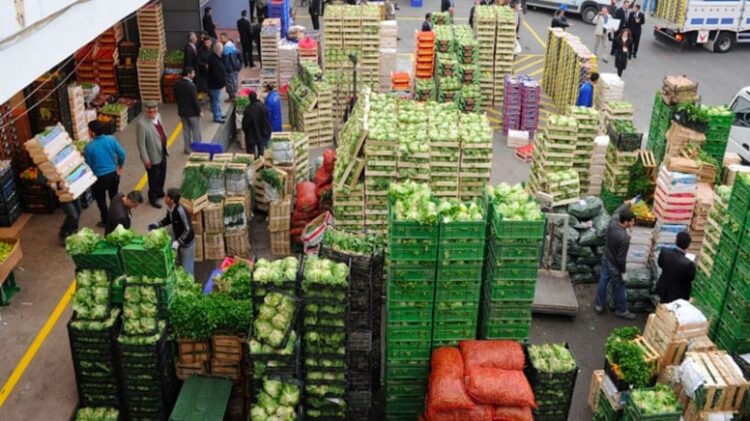 Gıdasız kalma riski kapıda: “Gıda üreticisi kazanamadığı için artık üretmek istemiyor. Bu tempoda gidersek Türkiye’de satacak ürün bulamayabiliriz”