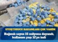 Uyuşturucuda korkutan tablo: Bağımlı sayısı 15 milyona dayandı, kullanım yaşı 12’ye indi