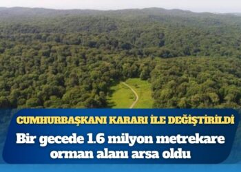 Bir gecede 1.6 milyon metrekare orman alanı arsa oldu