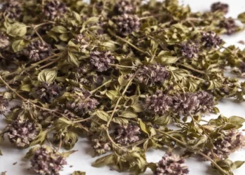 Bu çiçeğin sadece 35 gramını kaçırdı: 557.000 ceza aldı