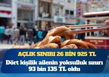 BİSAM: Dört kişilik ailenin açlık sınırı 26 bin 925 TL, yoksulluk sınırı 93 bin 135 TL