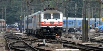 Hindistan’da tren kazası: Hızlı trenden kaçamayan 7 fil hayatını kaybetti