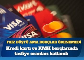 Vatandaşın kredi kartı borcu 1 yılda 3’e katlandı