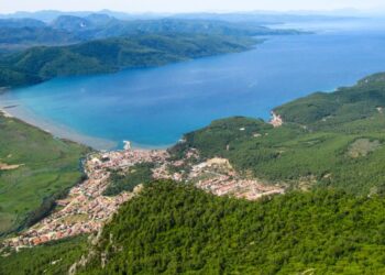 Sit alanındaki orman kampında doğal çim kaldırılıp, sentetik çim döşenmiş