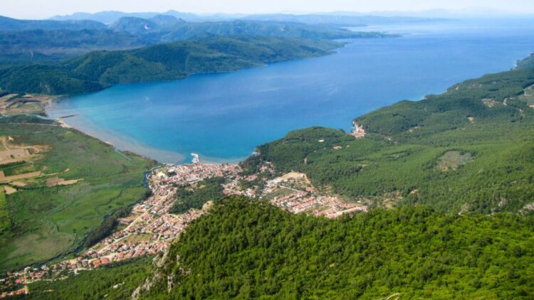 Sit alanındaki orman kampında doğal çim kaldırılıp, sentetik çim döşenmiş