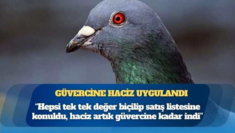 Banka, borca karşılık vatandaşa ait güvercinlere haciz uyguladı