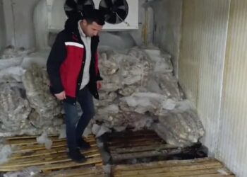 Manisa’da 4 milyon liralık bozuk kokoreç ele geçirildi